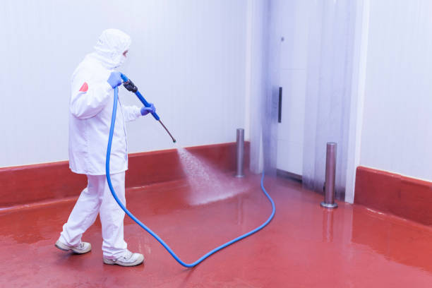 Best Soft Washing  in Midwest City, OK